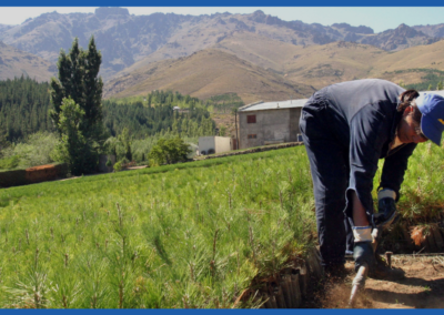 Estudio de demanda de turismo rural en Argentina