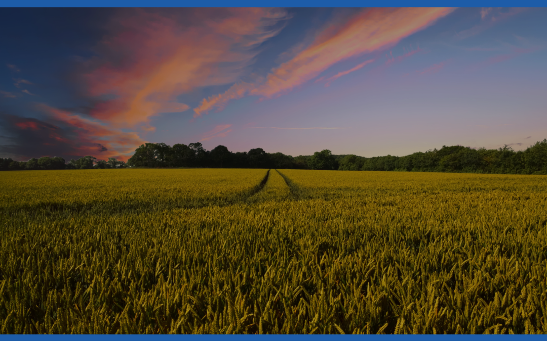Cadena de Valor Turismo Provincia de Buenos Aires